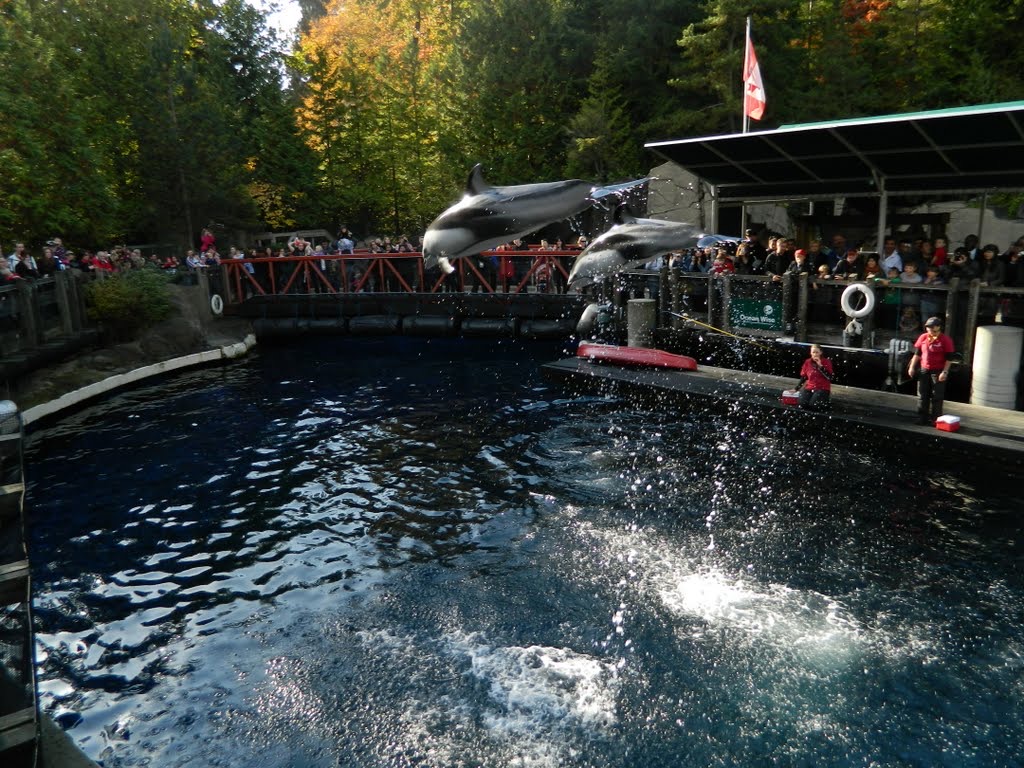 Vancouver Aquarium • Can I Pack?